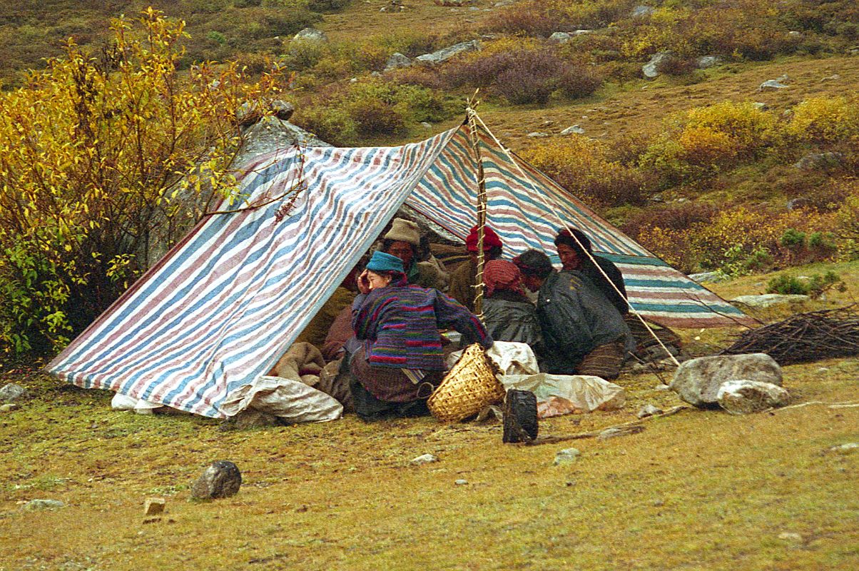 07 Yaks and Yak Herders Camp At Dhampu Tibet